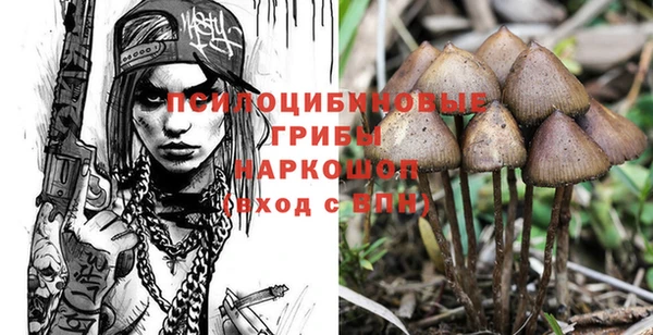 mdpv Нея
