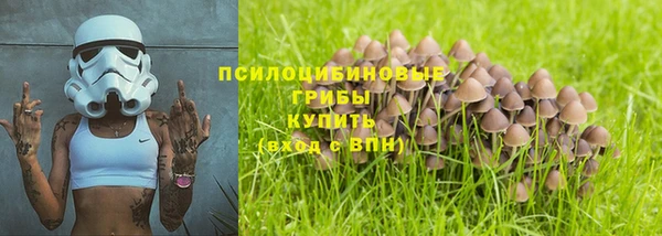 mdpv Нея