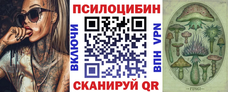 Псилоцибиновые грибы мухоморы  даркнет сайт  мега как войти  Ревда 