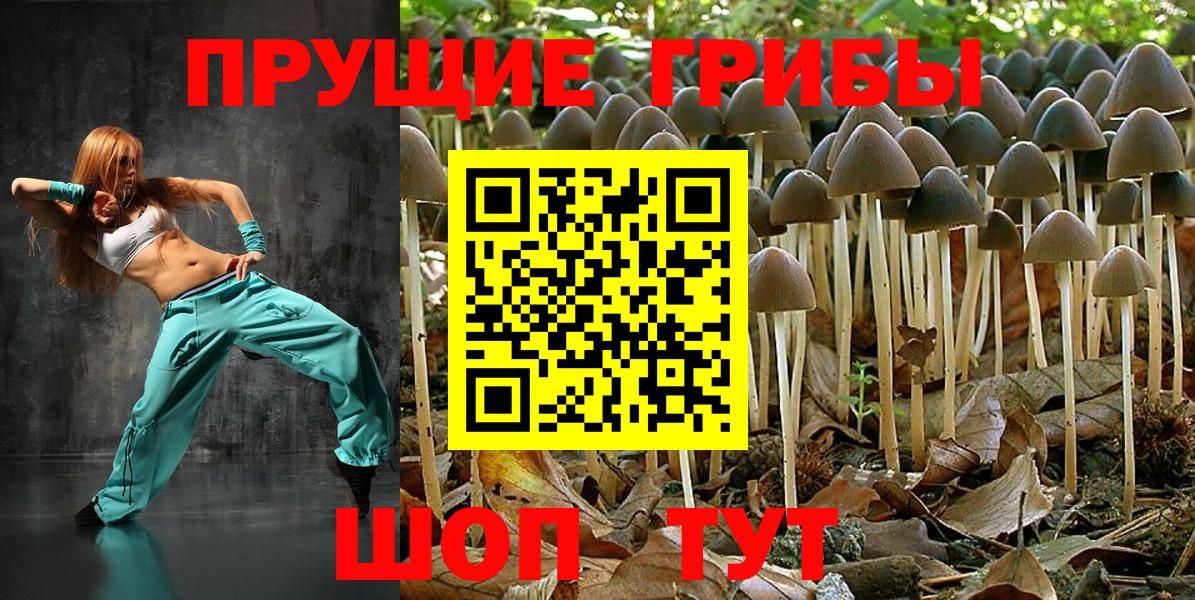 Галлюциногенные грибы прущие грибы Ревда