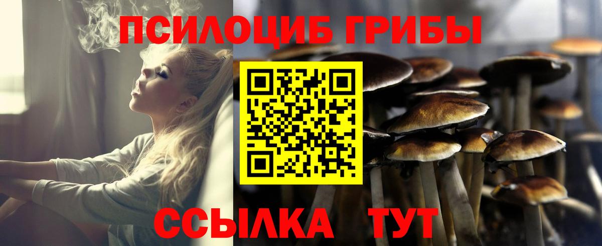 Галлюциногенные грибы Cubensis  Вход с VPN  Ревда 